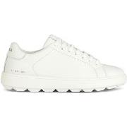 Sneakers Geox Baskets femme Spherica Ecub