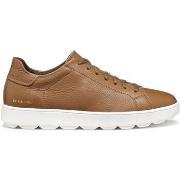 Sneakers Geox Baskets Spherica ECUB-1