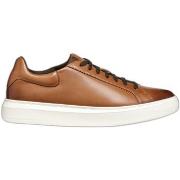Sneakers Geox Baskets Deiven