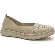 Ballerina's Grunberg -