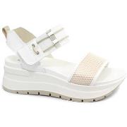 Sandalen IgI&amp;CO IGI-E25-7677522-BI