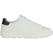 Sneakers Geox Baskets Spherica