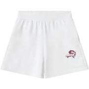 Harembroek Puma 689045