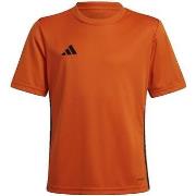 Zwembroek adidas Tabela 23