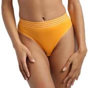 Shorts DIM -