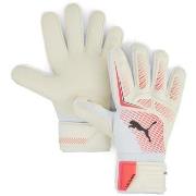 Handschoenen Puma -