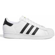 Sneakers adidas Superstar adv