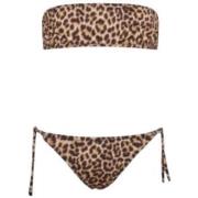 Bikini Matinee cc1015