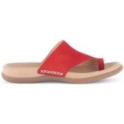 Slippers Gabor 63.700