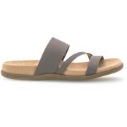 Slippers Gabor 63.702