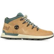 Sneakers Timberland Sprint Trekker Mid Lace Sneaker