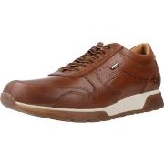 Lage Sneakers Kangaroos K938
