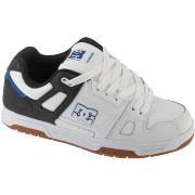 Lage Sneakers DC Shoes Shoes Stag