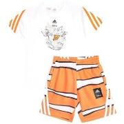 Trainingspak adidas -