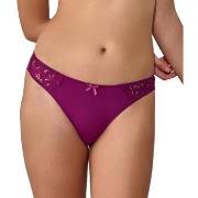 Tanga's Les Petites Bombes -