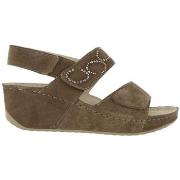 Sandalen Scholl Chaussures