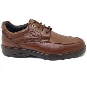 Wandelschoenen Luisetti BASKETS 37704