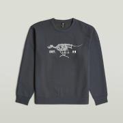 Trui G-Star Raw RUNNING DOG BACK GR R S