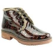 Enkellaarzen Pitillos BOTTINES 10773