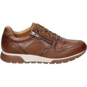 Lage Sneakers Kangaroos 933-13