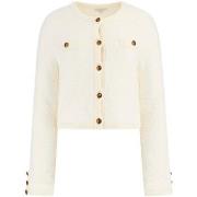 Trui Guess Ls Suzumi Crushed Cardigan