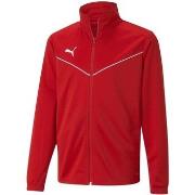 Fleece Jack Puma Teamrise Training Poly Jacket