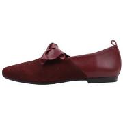 Ballerina's Sandra Fontan BRASIL