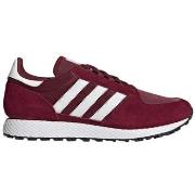 Lage Sneakers adidas Forest Grove