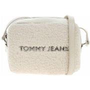 Handtas Tommy Hilfiger AW0AW16493ACG