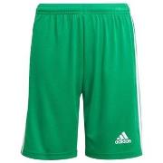 Korte Broek adidas JR Squadra 21