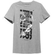 T-shirt Korte Mouw 4F H4L21 TSM011