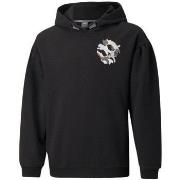 Sweater Puma Alpha Hoodie FL