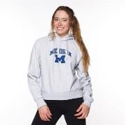 Sweater Champion 115110EM004LOXGM