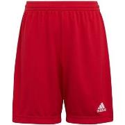 Korte Broek adidas Entrada 22