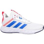 Basketbalschoenen adidas Ownthegame 20 K