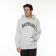 Sweater Champion Harvard