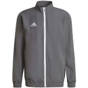 Sweater adidas Entrada 22 Presentation