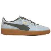 Nette Schoenen Puma Palermo