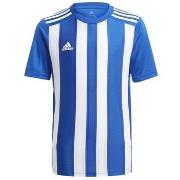 T-shirt Korte Mouw adidas Striped 21