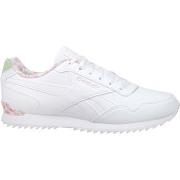 Lage Sneakers Reebok Sport Royal Glide