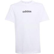 T-shirt Korte Mouw adidas JC9747