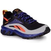 Lage Sneakers Reebok Sport Ridgerider 6
