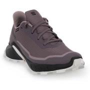 Hardloopschoenen Salomon Alphacross 5 Gtx