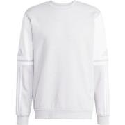 Sweater adidas Squadra 25