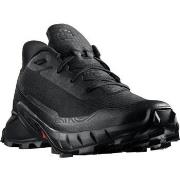 Hardloopschoenen Salomon Alphacross 5