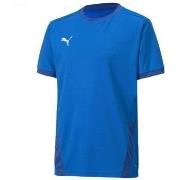 T-shirt Korte Mouw Puma Teamgoal 23 Jersey
