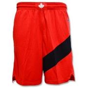 Korte Broek Nike Toronto Raptors Swingman
