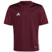 T-shirt Korte Mouw adidas IB4933