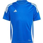 T-shirt Korte Mouw adidas Tiro 24