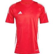T-shirt Korte Mouw adidas IS1016